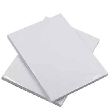 Giấy rider in ảnh một mặt C.260 (loại 210gr)